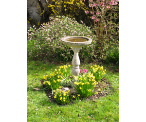 how deep should a bird bath be